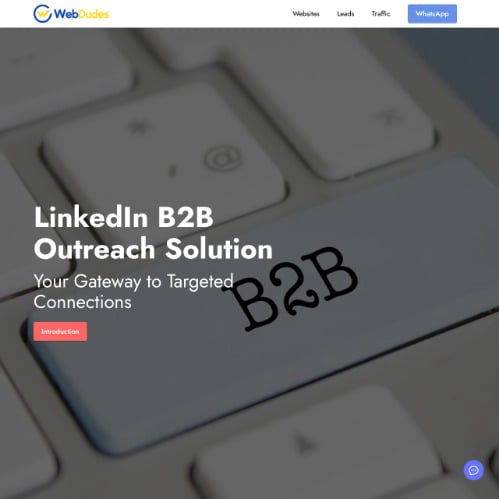 LinkedIn B2B Outreach Solution